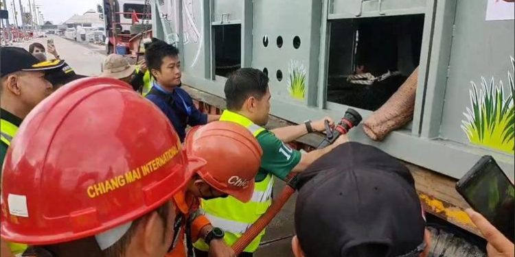 පැය පහක ගුවන් ගමනකින් පසු ‘මුතුරාජා’ මව් රටට